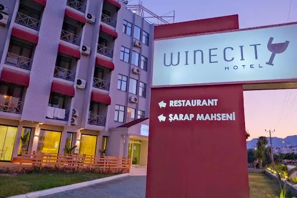Winecity Hotel - Resim 1
