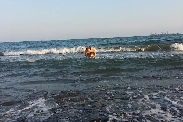 İncirli Jandarma Karakol Komutanlığı - Resim 17