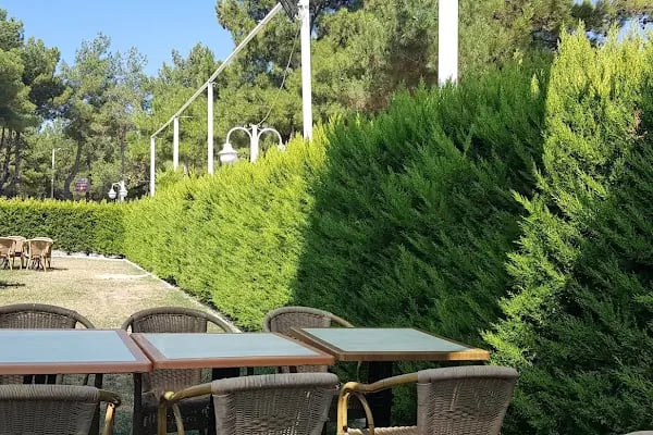 Barınak Bahçe - Resim 18