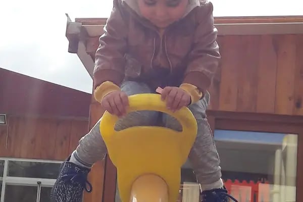 Barınak Bahçe - Resim 14