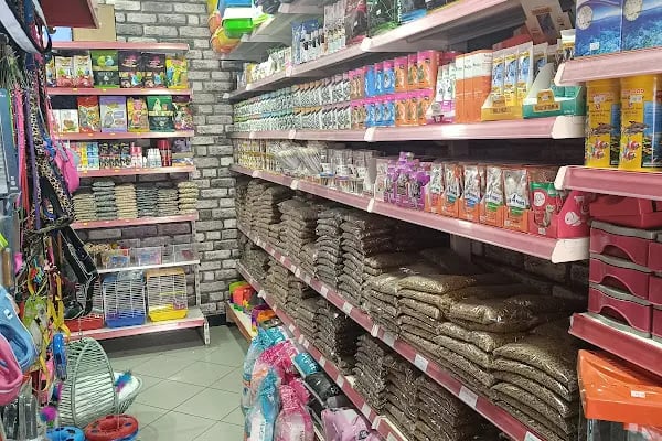 GÜLER PETSHOP - Resim 2
