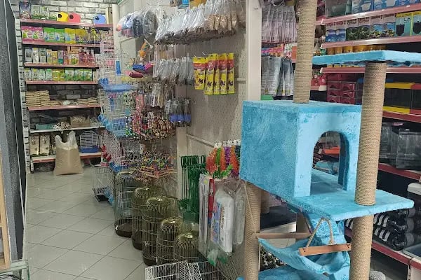 GÜLER PETSHOP - Resim 20