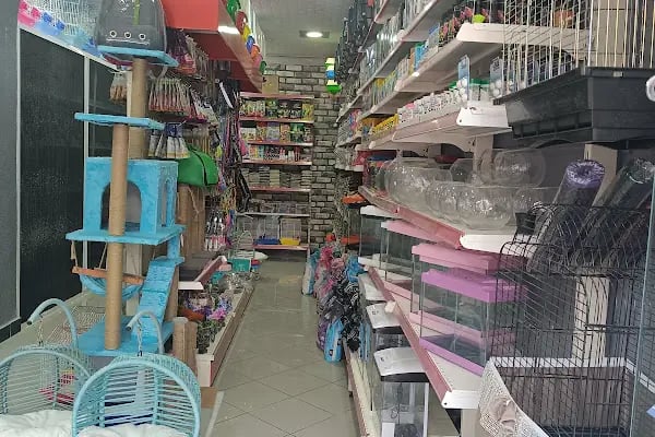 GÜLER PETSHOP - Resim 19