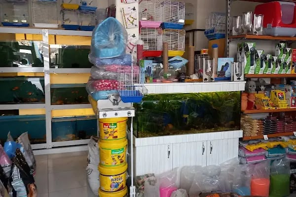 Masal HOBİ EVi - Petshop, Hediyelik Eşya, Takı ve Aksesuar - Resim 20