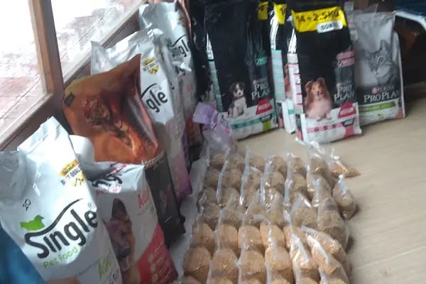 Masal HOBİ EVi - Petshop, Hediyelik Eşya, Takı ve Aksesuar - Resim 3