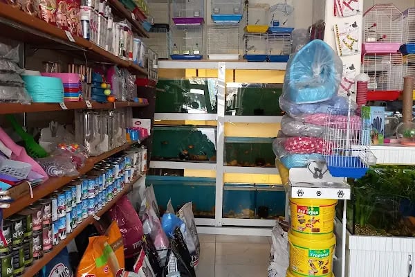 Masal HOBİ EVi - Petshop, Hediyelik Eşya, Takı ve Aksesuar - Resim 17