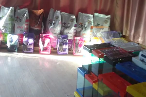 Masal HOBİ EVi - Petshop, Hediyelik Eşya, Takı ve Aksesuar - Resim 10