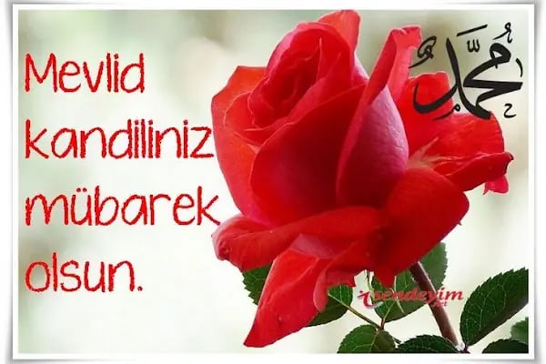 Sanayi İlköğretim Okulu - Resim 2