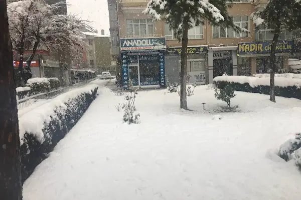 Anadolu Turizm Oto Kiralama - Resim 20