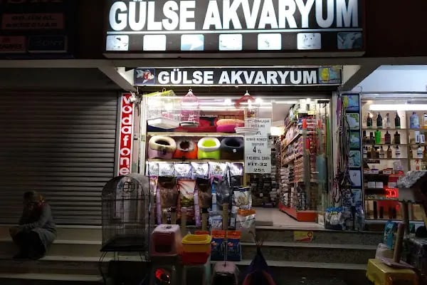 GÜLSE PETSHOP - Resim 8