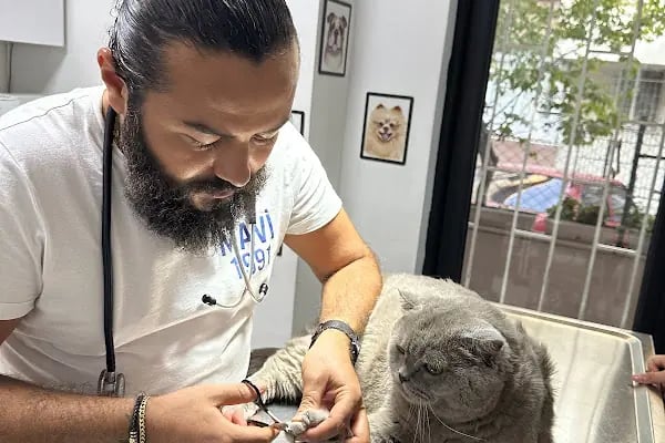 Kenez Veteriner Kliniği - Resim 4