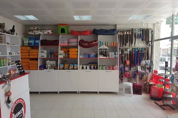 Kenez Veteriner Kliniği - Resim 5
