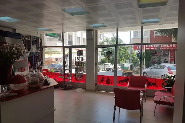 Kenez Veteriner Kliniği - Resim 7