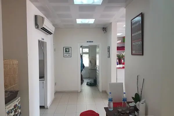 Kenez Veteriner Kliniği - Resim 6