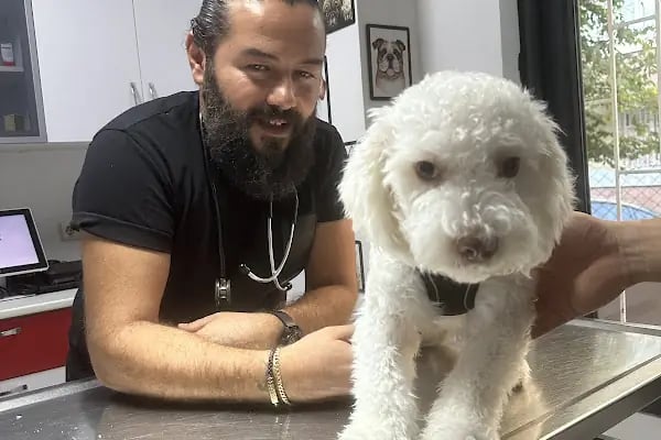 Kenez Veteriner Kliniği - Resim 2