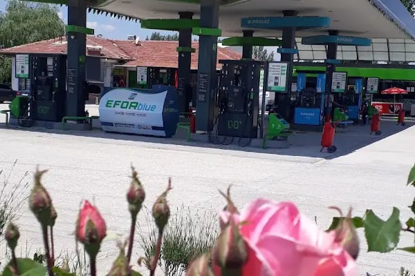 Asya perakende GO ipragaz - Resim 9
