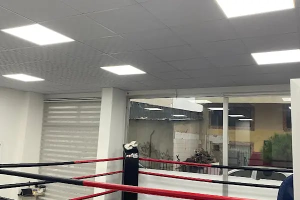 ALP Boxing Team Bayraklı - Resim 14