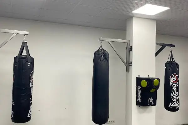 ALP Boxing Team Bayraklı - Resim 3