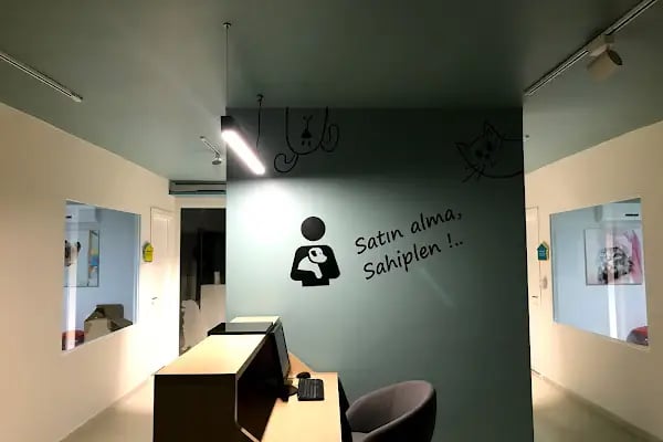 Akdeniz Veteriner Kliniği - Resim 5