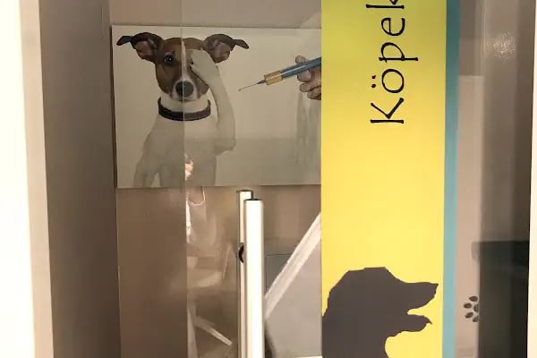 Akdeniz Veteriner Kliniği - Resim 10