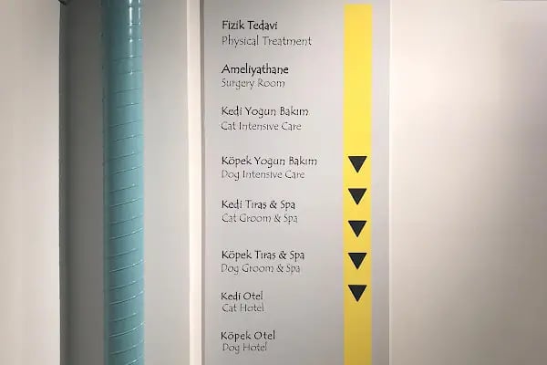 Akdeniz Veteriner Kliniği - Resim 7