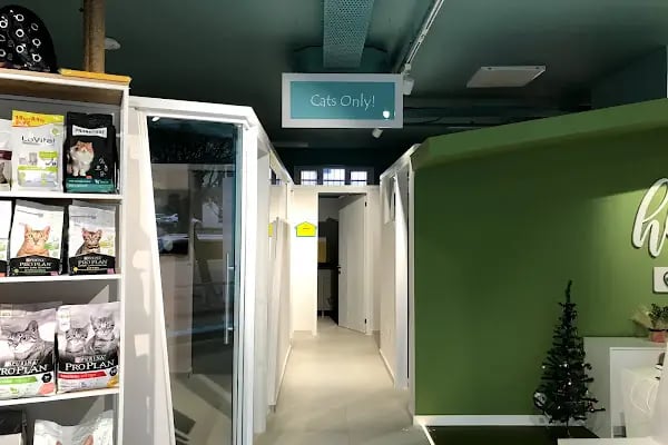 Akdeniz Veteriner Kliniği - Resim 3
