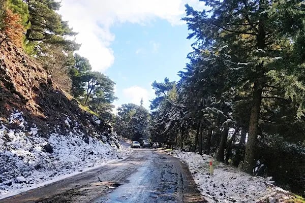 Yamanlardağı Tabiat Parkı - Resim 20