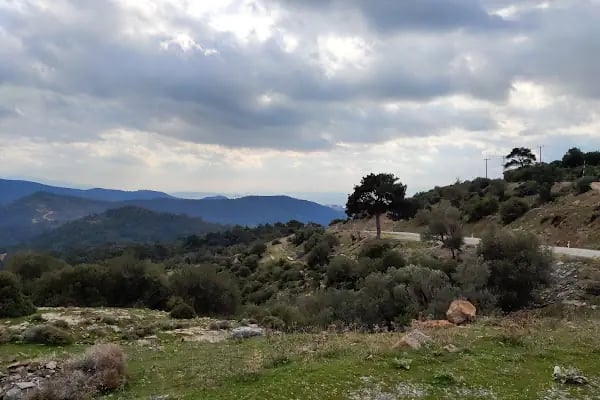 Yamanlardağı Tabiat Parkı - Resim 9