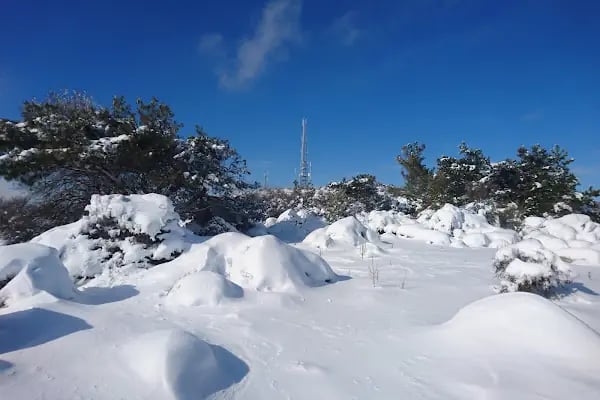 Yamanlardağı Tabiat Parkı - Resim 15