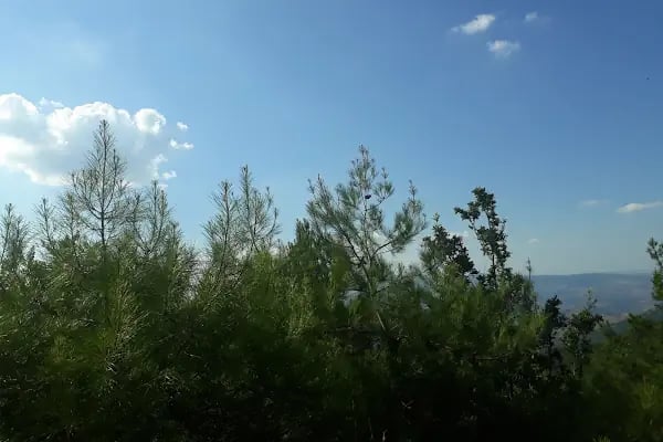 Yamanlardağı Tabiat Parkı - Resim 18