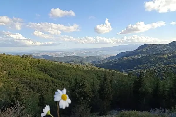 Yamanlardağı Tabiat Parkı - Resim 11