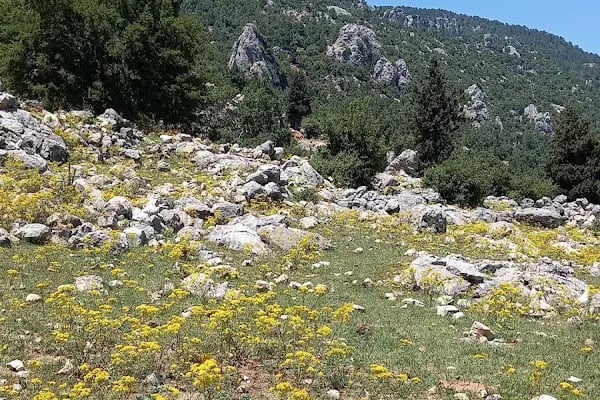Kocakeler Şelalesi - Resim 4
