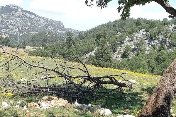 Kocakeler Şelalesi - Resim 7