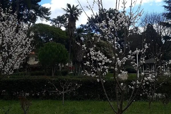 Buca Eğitim Fakültesi Konferans Salonu - Resim 14
