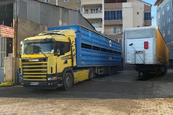 Dombay Ticaret - Resim 3