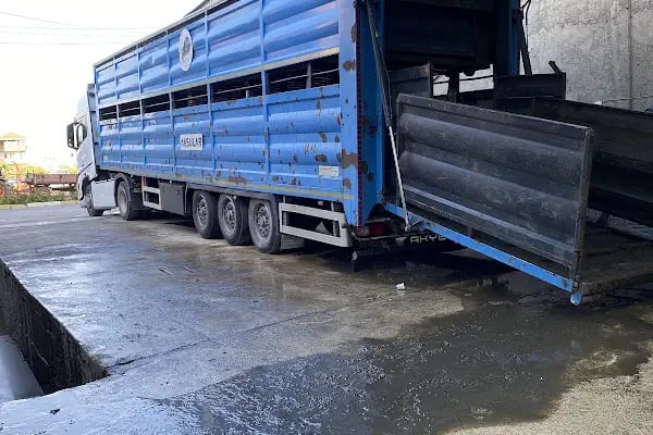 Dombay Ticaret - Resim 9