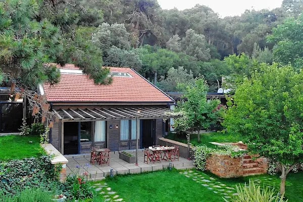 Triada Hotel Büyükada - Resim 17
