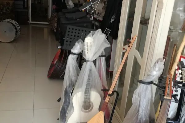Hasudem Müzik Evi - Resim 5
