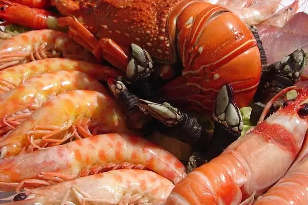 Cadde Balık Restaurant - Resim 12