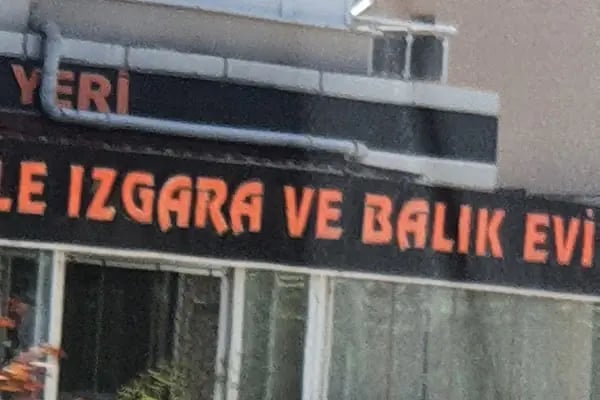 Balık profesörü - Resim 16