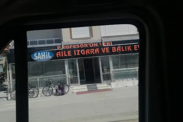 Balık profesörü - Resim 10
