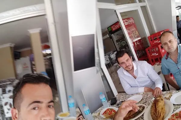 Balık profesörü - Resim 17