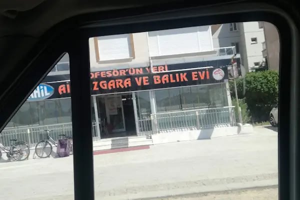 Balık profesörü - Resim 3