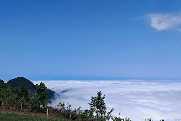 Hıdırnebi Manzara Cafe - Resim 8