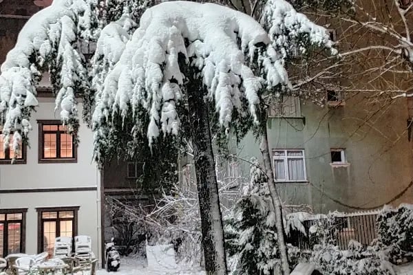 Ahmet Ziyaüddin Gümüşhanevî Parkı - Resim 11