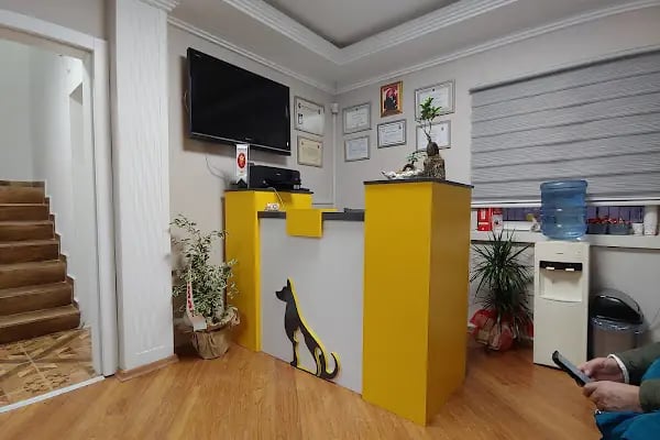 Keçiören Pet Level Veteriner Klinik - Resim 3