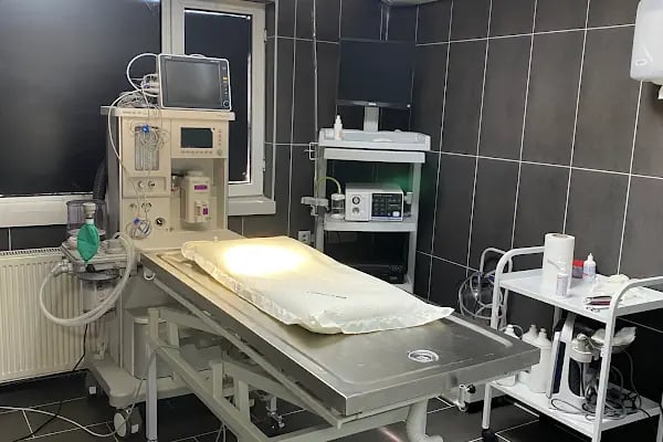 Keçiören Pet Level Veteriner Klinik - Resim 10