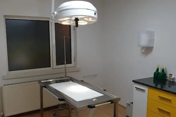 Keçiören Pet Level Veteriner Klinik - Resim 15