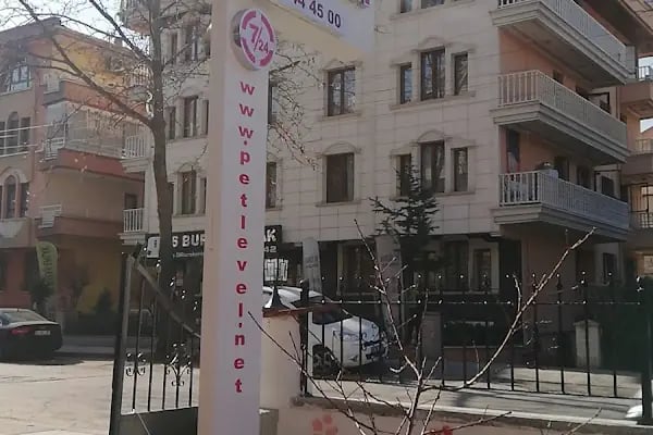 Keçiören Pet Level Veteriner Klinik - Resim 18