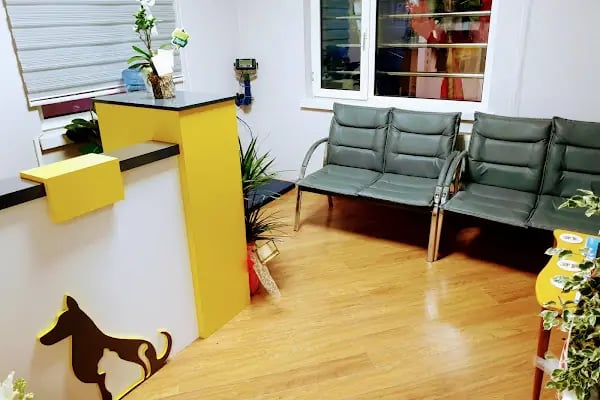 Keçiören Pet Level Veteriner Klinik - Resim 9